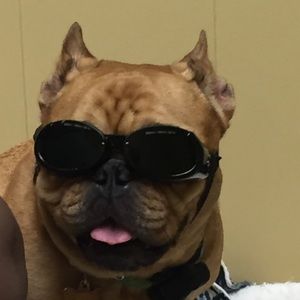 Meet your Posher, Reed